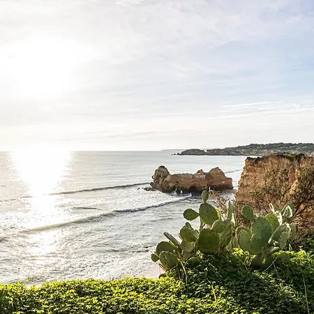 Beachfront Bliss Balcony